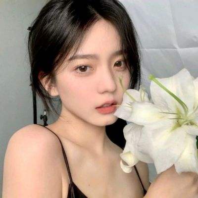 元素物语台服下载